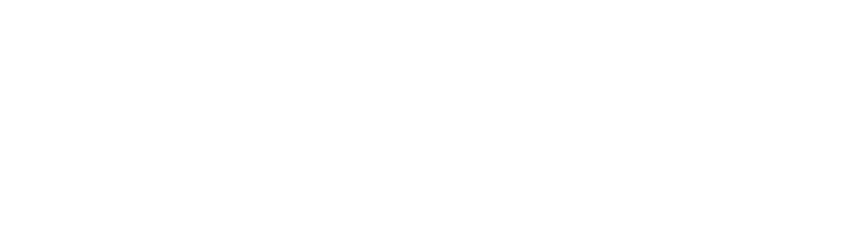 CAMIS Solutions CAMIS Solutions